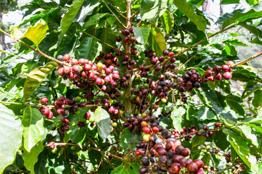  Loma Escondida gallery 