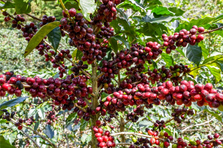  Loma Escondida gallery 