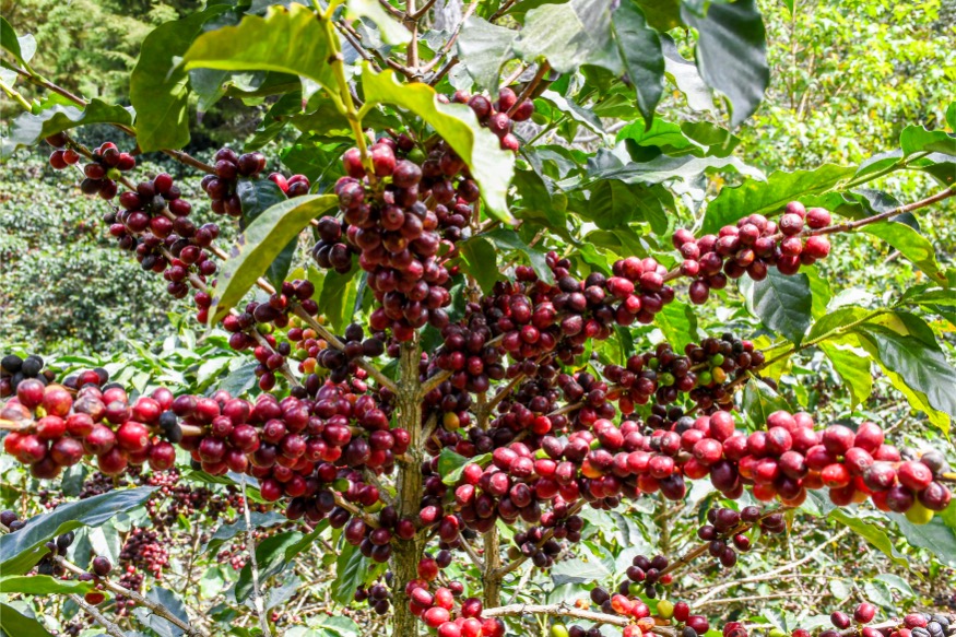  Loma Escondida gallery 