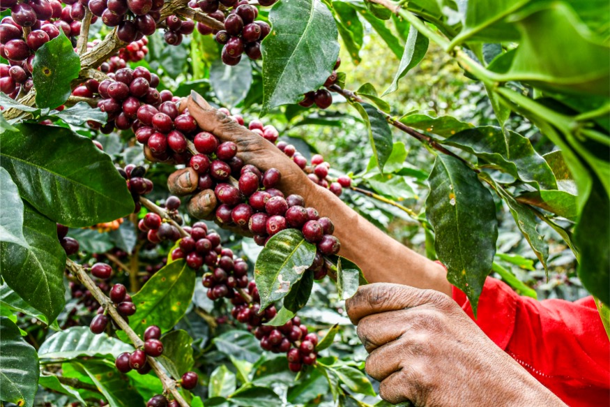  Loma Escondida gallery 