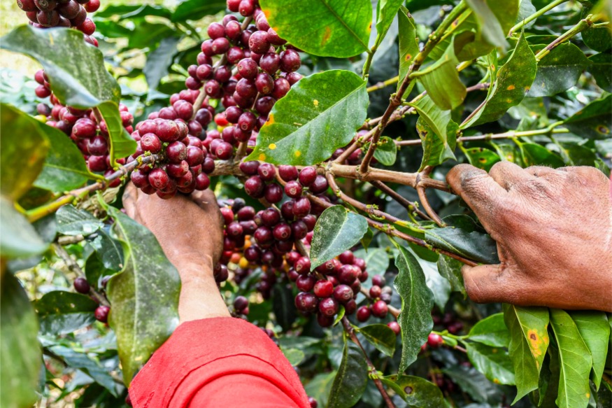  Loma Escondida gallery 