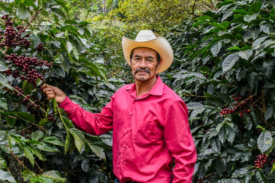  Loma Escondida gallery 