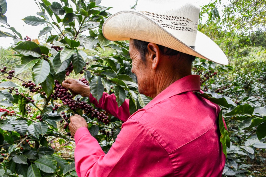  Loma Escondida gallery 