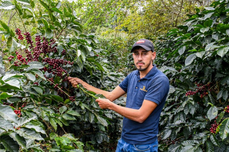  Loma Escondida gallery 