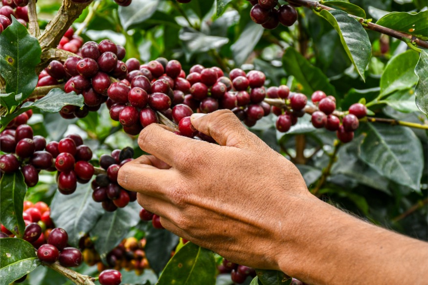  Loma Escondida gallery 