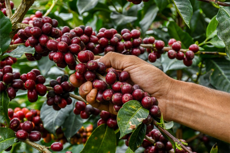 Loma Escondida gallery